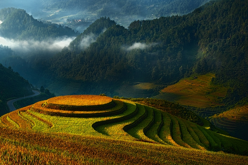 882 - TERRACES FIELDS - NGUYEN TUONG DUY - viet nam.jpg